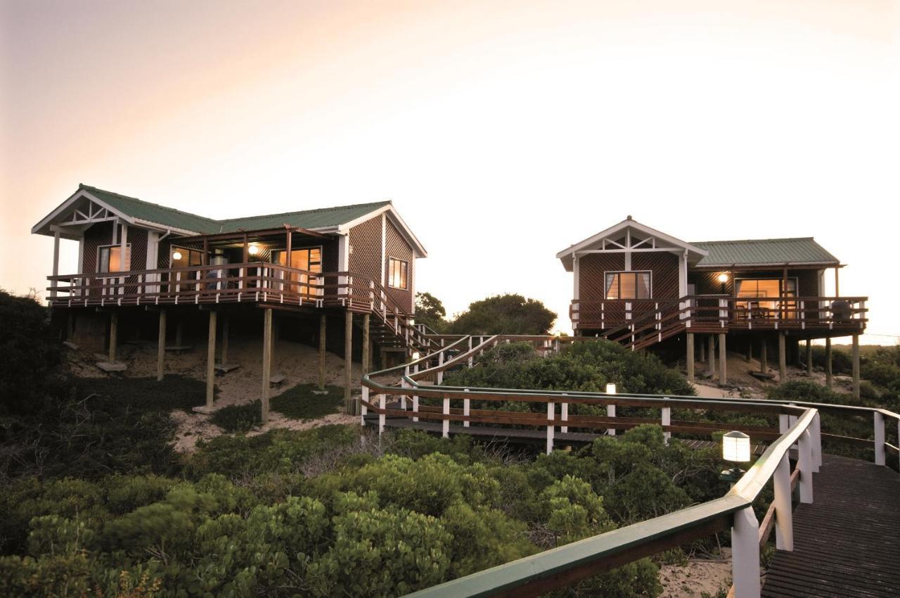 Pine Lodge Resort Port Elizabeth Extérieur photo